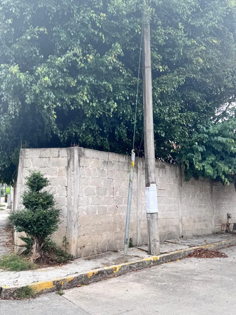 Imagen de publicacion